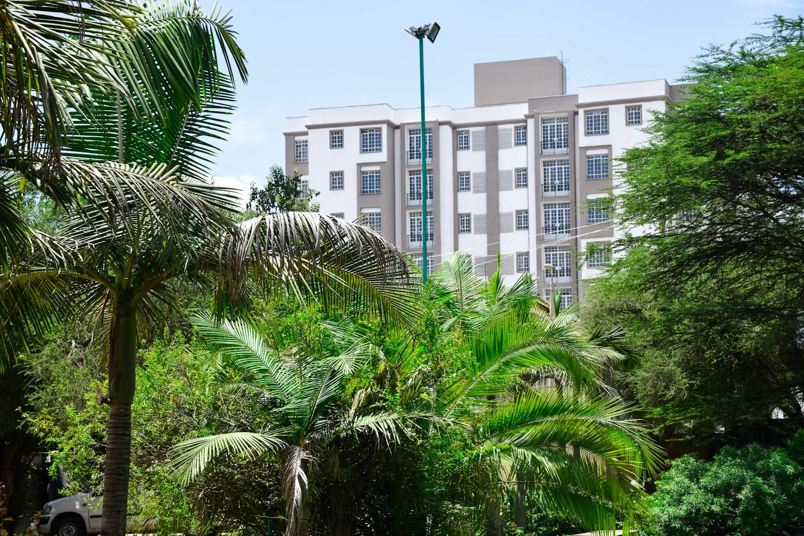 Apartment block behind palm trees in Nairobi